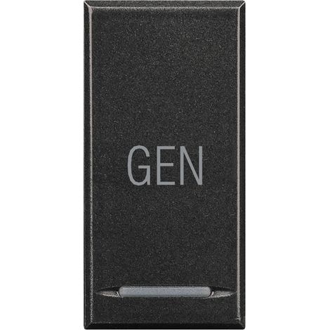 Manette Axolute MyHOME BUS symbole GEN 1 module anthracite BTICINO HS4915AC (1/2)