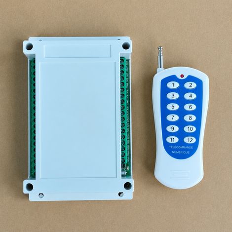 Commutateur récepteur relais sans fil 12 canaux DC 12-24V avec télécommande 12 touches 433MHz AU-RK12SB 12 100m 0.01 1a 250 g – Livraison gratuite