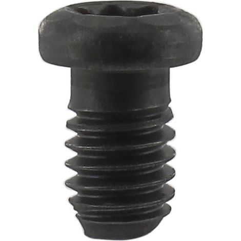 ENT Rundkopfschraube M4x6 mm zu Wepla Abrundfräser (1/4)