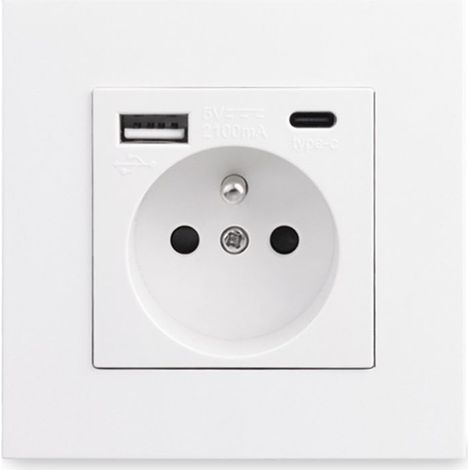 Panneau de prises françaises Type-C + USB 16A – 2 prises – 1 port USB et 1 port Type-C – Installation horizontale ou verticale – Matériaux PC et acier inoxydable (1/4)