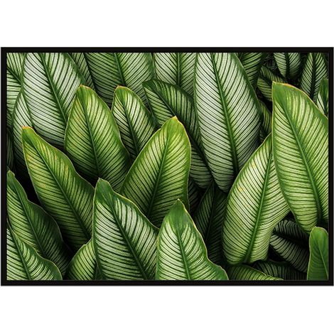 PÓSTER CON MARCO 53x73 cm Hojas P1119 (1/3)