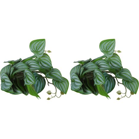 Lot 2 plantes résine pastèque – réalistes – sans décoloration – ventouse – nids reptiles (1/5)