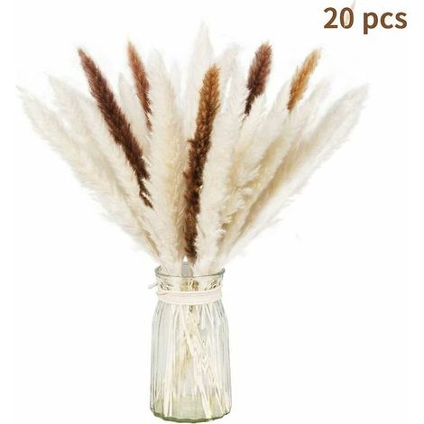 Set di 20 pezzi di erba di pampa essiccata naturale Ulisem per decorazioni domestiche (bianco + marrone) (1/5)