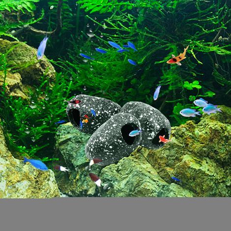 Décoration pour Aquarium - Cave en Résine Écologique - 9x7.5x5 cm - Cachette et Ponte pour Cichlidés (1/5)
