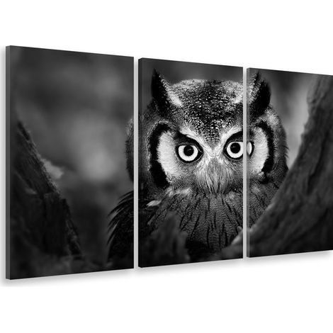 Tableau triptyque animaux hibou et ses aigrettes - 90x60 cm (1/5)