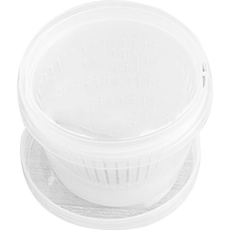 Boîte de conservation empilable transparente pour gingembre et ail avec égouttoir, idéale pour le réfrigérateur et la cuisine.