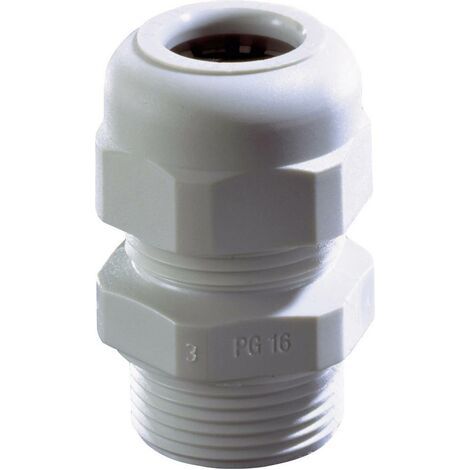 Presse-étoupe Wiska SKV PG36 RAL 7035 10066407 PG36 Polyamide gris clair 1 pc(s) (1/2)