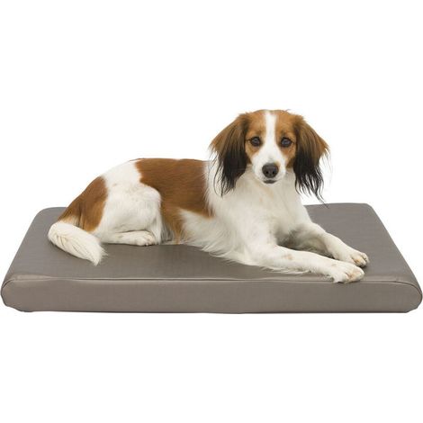 Cuccia per Cani Trixie Sansa Taupé Metallic (1/5)