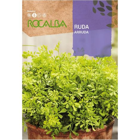 Ruda Ruda Taschen Samen 0,5 g