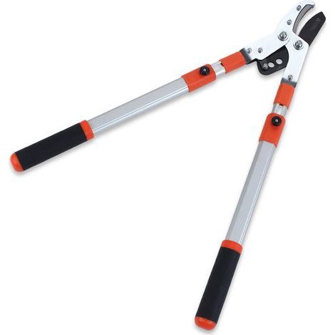 Robust Telescopic Branch Cutter - 67 to 100 cm - Extendable Garden Shears for Tree Branches - Professional Telescopic Pruner for (1/5)