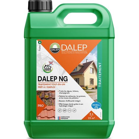 Dalep – Traitement fongicide tout-en-un prêt à l'emploi 5L – Antimousse pour toit, mur et sol – Action rapide et protection durable