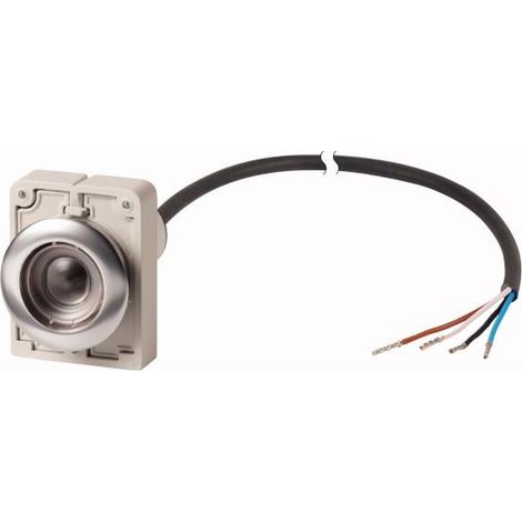 Bouton-poussoir RMQ Compact Flat à accrochage 1 N/C 1 N/O cable (noire) extrémité ouverte 4-po EATON C30C-FDR-X-K11-P62