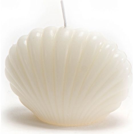 Amadeus - Bougie coquillage crème (lot de 8) (1/2)