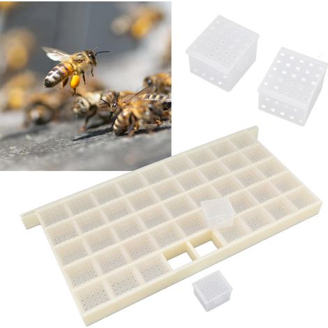 Gabbia multifunzionale per api regine, gabbia di plastica per l'allevamento e la conservazione di 45 api regine, modello standard 48,8x23,5x3 cm, plastica stampata a iniezione. (1/4)