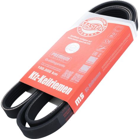CINGHIA POLARE PK 5PK1546 (1/2)
