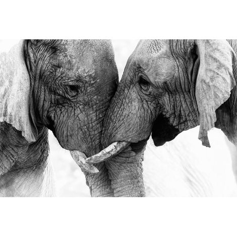 Tableau sur toile éléphants 30x45 cm - Impression sur Toile Murale Décorative - Image imprimée en HD sur Toile - Toile sur Châssis en Bois FSC - Fabriqué en France