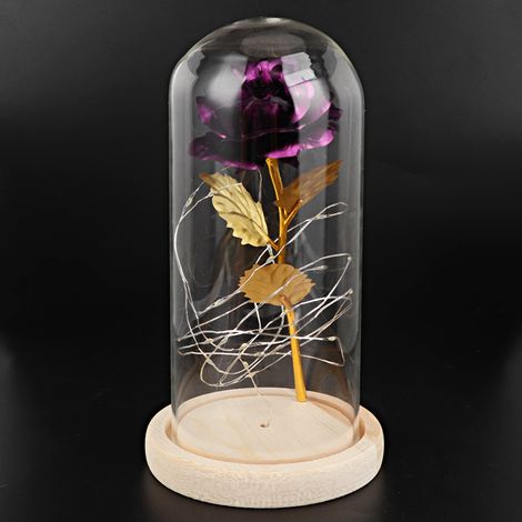 LED-Rosen-Nachttischlampe aus Glas, Nachtlicht, Geburtstagsgeschenk, Heimdekoration (Lila) (1/5)