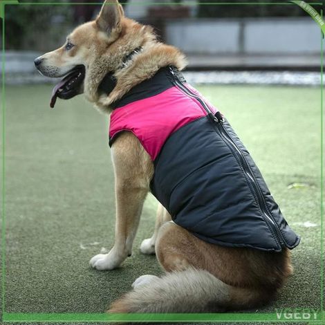 Vêtement pour animaux - FAFEICY - VGEBY - Imperméable - Polyester - Tailles 2XL-5XL (1/5)
