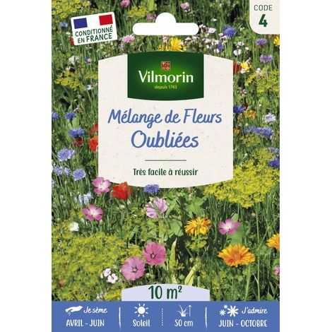 Fleurs Oubliées - 10 m² - Mélange de fleurs Vilmorin (1/2)