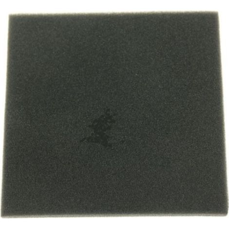 Filtro espuma aspirador Beko 9178011269