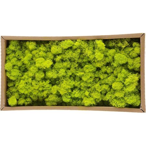 Crochet à Toggle GH 452, Serrage Rapide Réglable, Loquet à Dégagement Rapide, Bride de Tirage Lourde pour Porte, Coffre, Couvercle de Fumeur (1/5)
