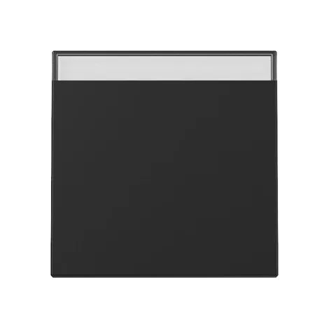 Gira Tecla BSF System 55 Schwarz m [3299005], 3299 005