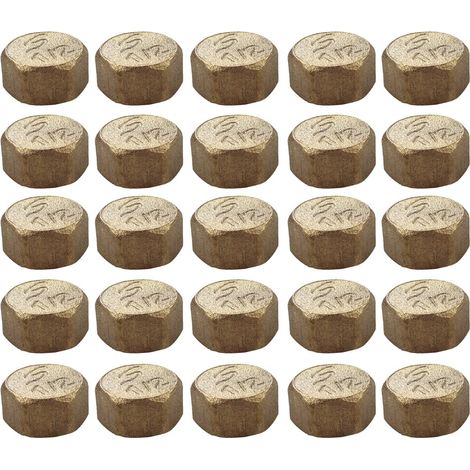 Lot de 25 Bouchons Laiton Femelle 1/2" (15/21) - Arcanaute (1/3)