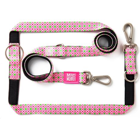 Laisse Multifonction pour Chien 2 m avec 2 mousquetons, Laisse rétro Rose/S rembourrée, sûre et Flexible – Confort pour Votre fidèle Compagnon (1/5)