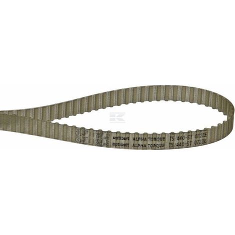 Correa distribuci贸n T5 88 dientes 440 x 10 mm Optibelt OPTIBELT T544010 (1/3)