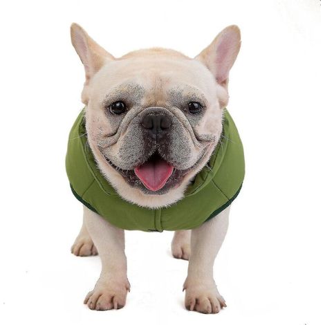 Bulldoggen-Kleidung – Baumwollweste mit Knöpfen – Hundebekleidung – Haustierzubehör – XXL – Grün (1/5)
