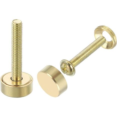 16Pcs Vis Décoratives en Laiton avec Capuchons, 12 mm Vis pour Miroir avec Capuchon, Clous de Fixation pour Meubles Décoratifs, Couleur Or (1/2)