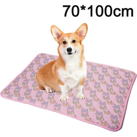 Tapis rafraîchissant pour animaux de compagnie CDQ, pour une sensation de fraîcheur estivale, 70 x 100 cm (1/5)
