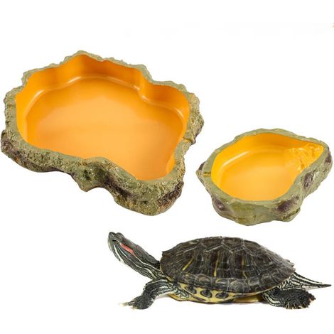 Accessoire Terrarium Reptile 2 pièces gamelle Reptile 2 Pinces à Alimentation Longue Acier Inoxydable Brucelles incurvées Droites Convient Geckos, tarentules, Dragons barbus, Tortues (1/5)