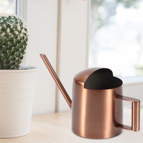 Kleine 300-ml-Gießkanne aus Edelstahl mit langem Ausguss für Pflanzen und Blumen, ideal für den Hausgebrauch. (1/5)