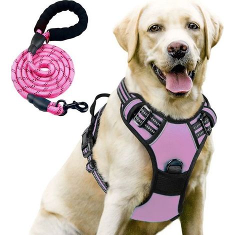 Filiyano-Harnais pour chien - Taille XL - Réglable - Léger - Rose réfléchissant (1/5)
