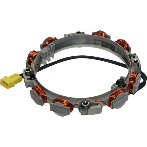 Lichtmaschine 10 - 16 AMP Motorstarter BRIGGS & STRATTON 696458 592830