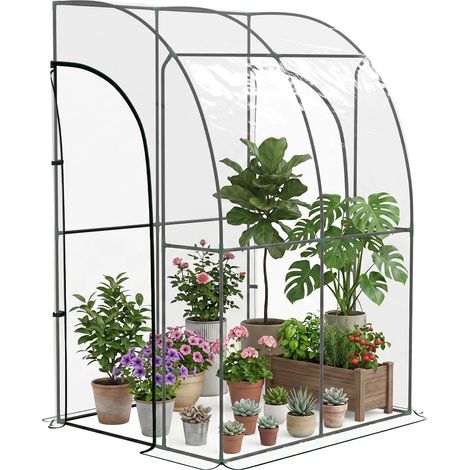 Invernadero, PVC transparente, puertas enrollables, T1003-01-09872 (1/2)