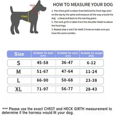 Harnais pour Chien Réglable et Réfléchissant avec Poignée de Contrôle et Étiquette IN TRAINING