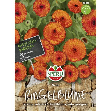 Sperli – Souci Neon – Graines de fleurs, annuel, centre orange, hauteur env. 70 cm (1/2)