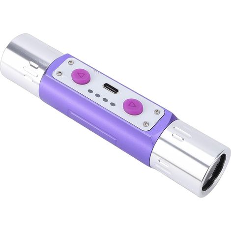 Lampe de Poche UV 395Nm 365Nm 254Nm, Lampe de Poche Portable à Lumière Noire à Double Tête, Détecteur D'urine de Chat pour Animaux de Compagnie, 2000 MAh Type C Rechargeable (1/5)