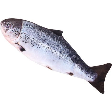 Jouets de poissons réalistes, jouets pour chatons en forme de poisson oscillant, jouets interactifs pour chats (1/4)