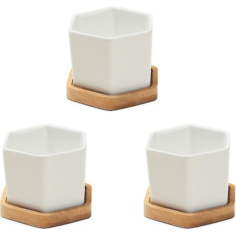 Le nouveau pot à bonsaï 1 pièce (1/3)