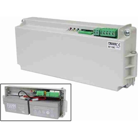 Roger - CHARGEUR DE BATTERIE B71/BC/INT + 2 BATTERIES INTERNES 1,2AH DANS BOÎTE PLASTIQUE POUR B70/2DC