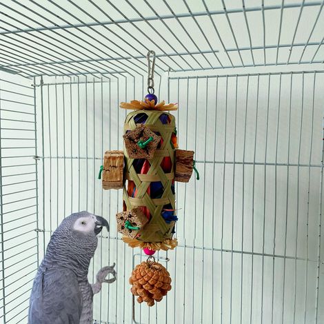 [LCS] Jouet à mâcher pour perroquet : panier en bambou tressé résistant aux morsures, avec pomme de pin, compatible avec les cages à oiseaux.