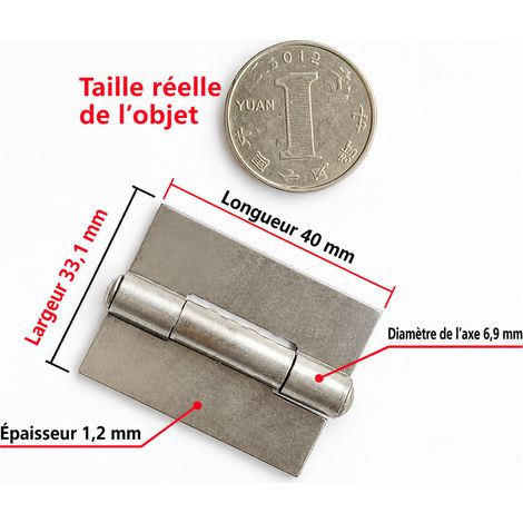 Charnière à souder dégondable en fer 1,2 x 31 x 40 mm 1.2 31x 40 mm 35 g – Livraison gratuite