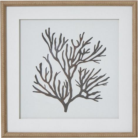 Reef Coral Art Mounted in Beaded Frame - Glass - L2 x W40 x H40 cm - Brown