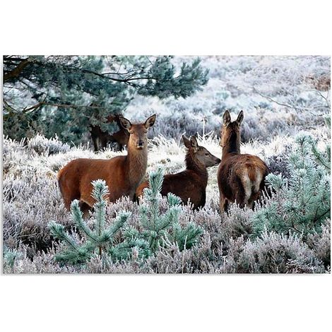 Tableau les cerfs et le givre - 80 x 60 cm (1/4)