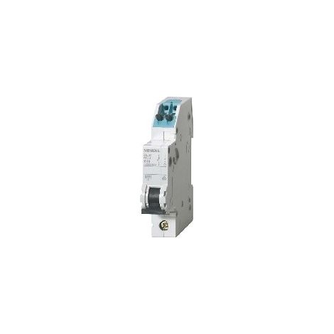 Interruptor Siemens 5sj6110-6ks 10A 6kA