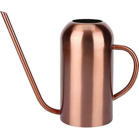 Arrosoir en acier inoxydable de 1,5 litre avec une longue ouverture, idéal pour les fleurs et les plantes de jardin. (1/5)