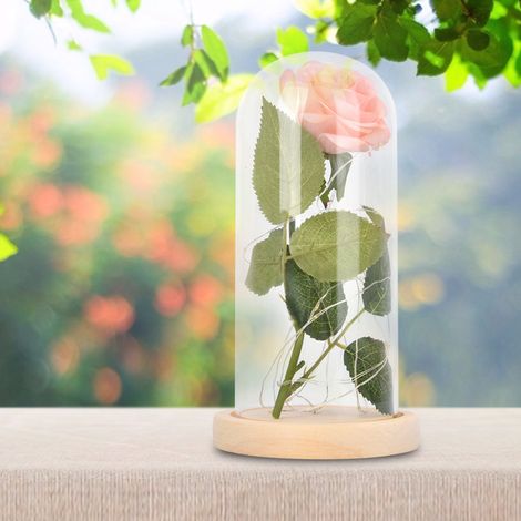 Rose lumineuse LED avec socle en verre, rose champagne, cadeau idéal pour la Saint-Valentin ou un mariage. (1/5)